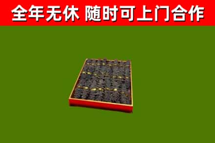水城烟酒回收海参.jpg